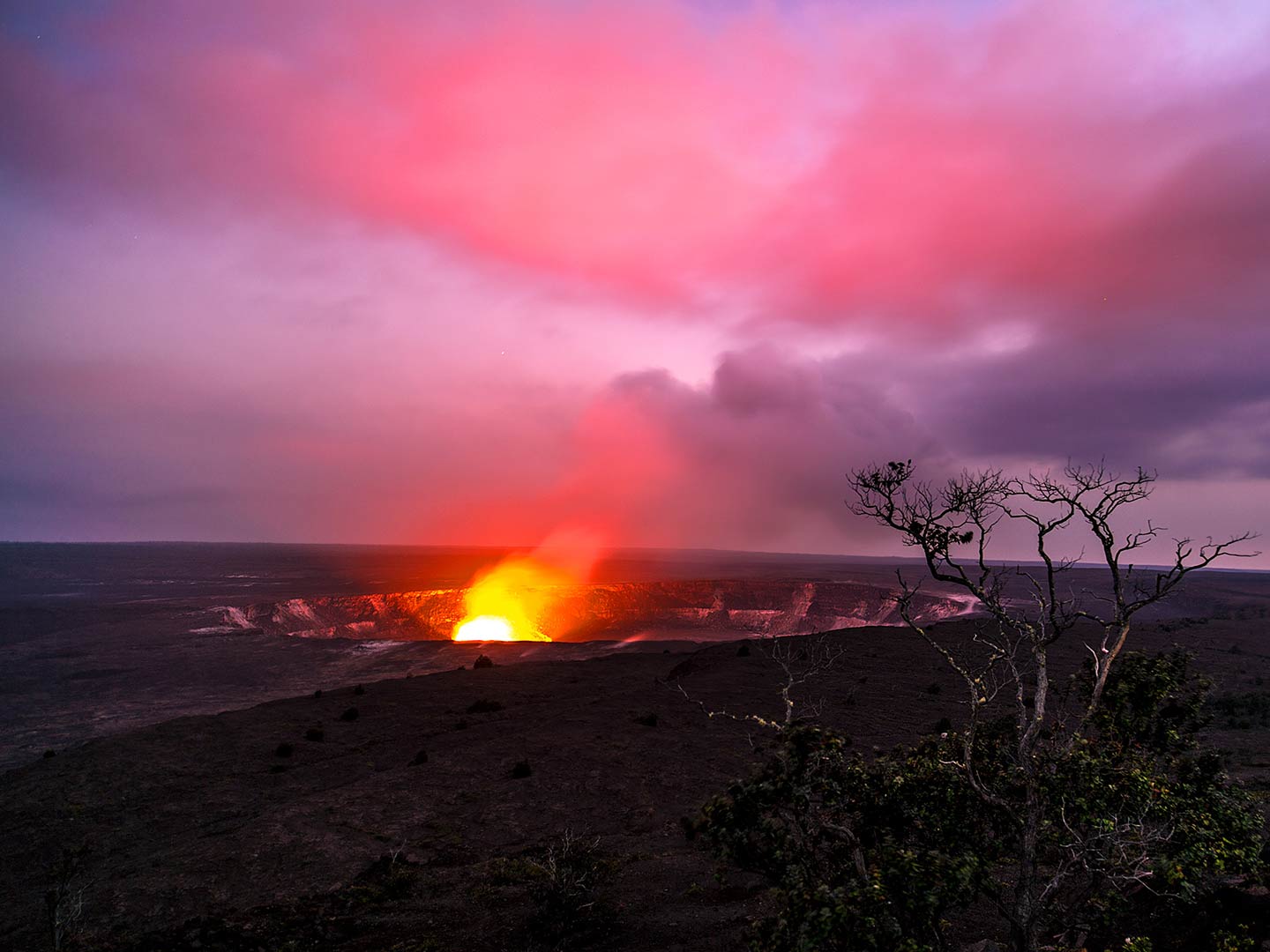 Architech Building Edge